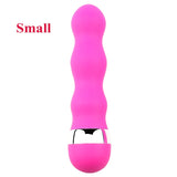 Small Dildo Vibrator