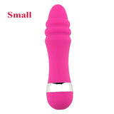 Small Dildo Vibrator